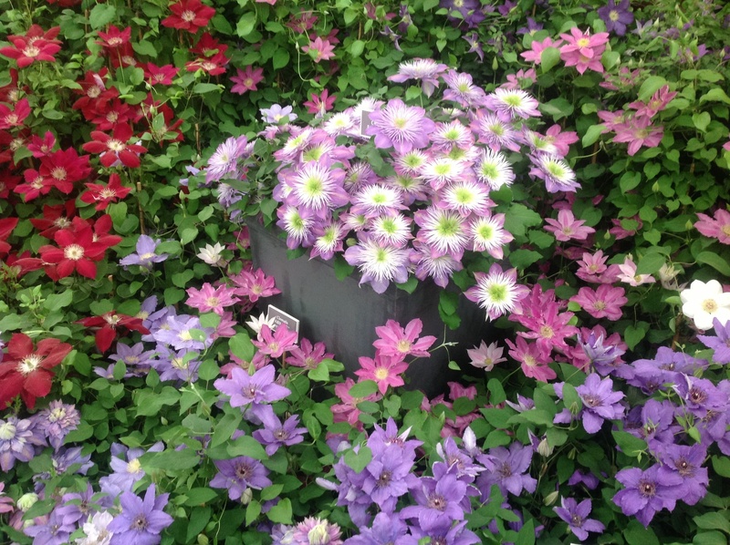 garden design landscape design