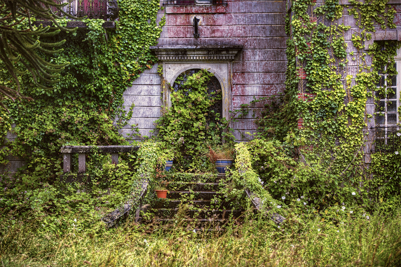 garden design Hedge trimming