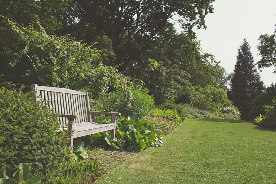 A peaceful garden scene featuring a well-maintained, vibrant green lawn with neatly trimmed grass extending along the right side of the image. On the left, a wooden garden bench is positioned beside a lush border of leafy plants and flowering shrubs, some with pink and white blossoms. Behind the bench, tall trees with dense foliage provide shade, while other trees and bushes create a natural backdrop. The soil around the plants appears moist and rich, indicating recent garden maintenance. The overall environment is sunny with diffused light, highlighting the textures of the grass, leaves, and wooden bench, conveying a serene outdoor space ideal for leisure or garden landscaping work. This setting reflects professional outdoor care and hedge trimming, consistent with the services offered by Gardeners Harrow, as referenced on the Harrow gardeners Harrow on the Hill local garden guide page.