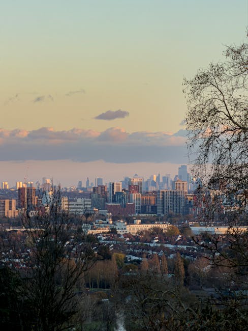 A panoramic view of an urban garden with a variety of trees and shrubs in the foreground, some leafless, indicating late autumn or winter. The garden features well-maintained grass pathways and flower beds bordered by low hedges, with visible gardening tools such as a rake and pruning shears placed nearby. In the distance, a city skyline with modern high-rise buildings and older structures under a partly cloudy sky is visible, suggesting a maintained outdoor space within the city environment. The lighting indicates late afternoon, casting a warm glow across the scene, and water features or ponds are not visible. This setting exemplifies typical garden maintenance and landscaping work performed by Gardeners Harrow, aligning with the local garden guide for Harrow on the Hill.